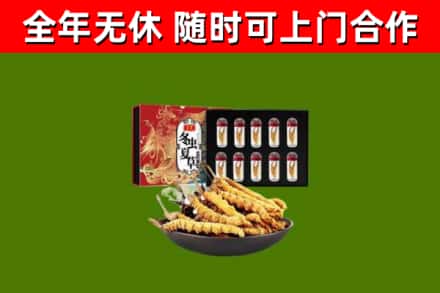 加格达奇区回收冬虫夏草价格